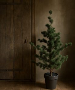 Larix m 01