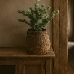 Larix s 01