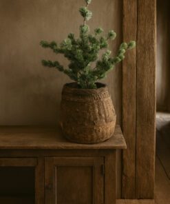 Larix s 01