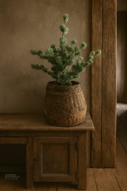 Larix s 01