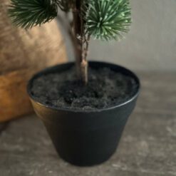 Larix s 03