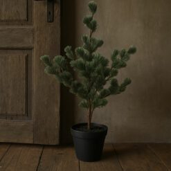 Larix s 04