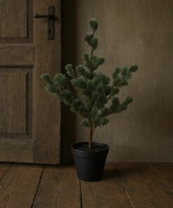 Larix s 04