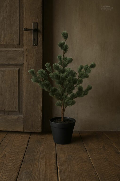 Larix s 04