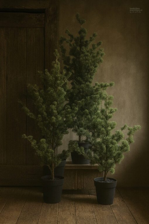 Larix boompjes