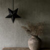 Metalen ster kushi hangend 05