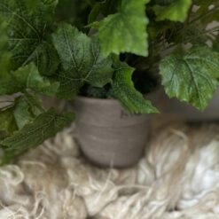 Kunstdruivenblad in pot breed 02