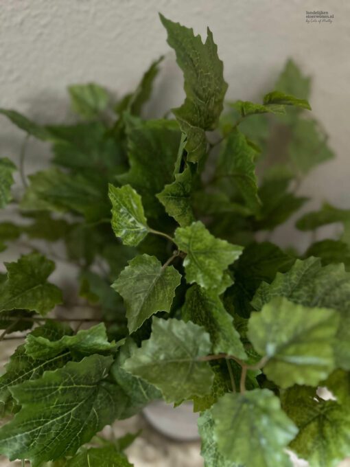Kunstdruivenblad in pot breed 03