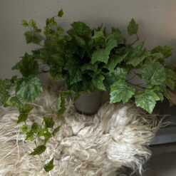 Kunstdruivenblad in pot smal 01