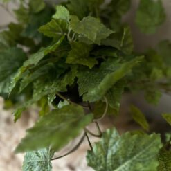 Kunstdruivenblad in pot smal 03
