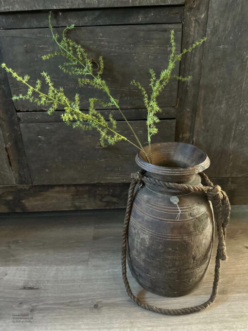 Kunsttak asparagus 01