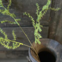 Kunsttak asparagus 02