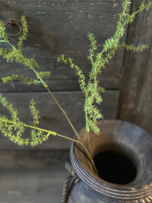 Kunsttak asparagus 02