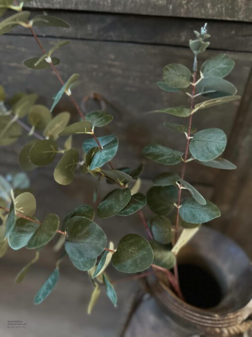 Kunsttak eucalyptus 02
