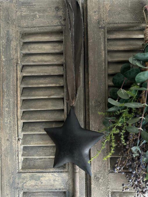 Metalen kerstster met lint ravi 01