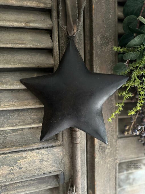 Metalen kerstster met lint ravi 02