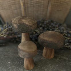Set houten paddenstoelen 01