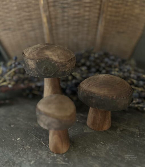Set houten paddenstoelen 01