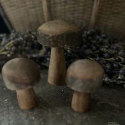 Set houten paddenstoelen 02