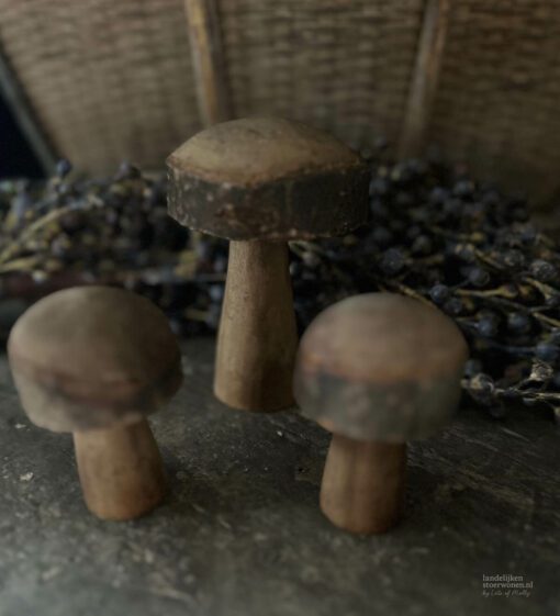 Set houten paddenstoelen 02