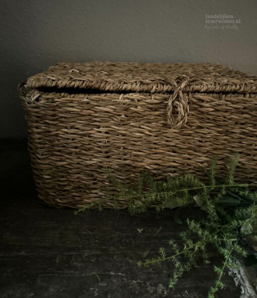 Mand deksel zeegras 06