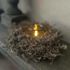 Asparagus kransje wax brons 01