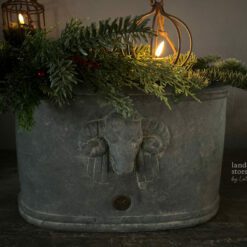 Brynxz Plantenbak Ovaal met Ram