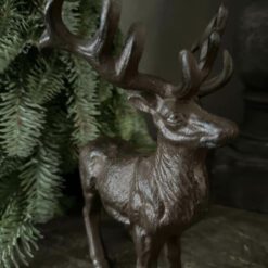 Hert met Gewei Bruin