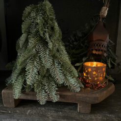 Kunst Nobilis boompje 30