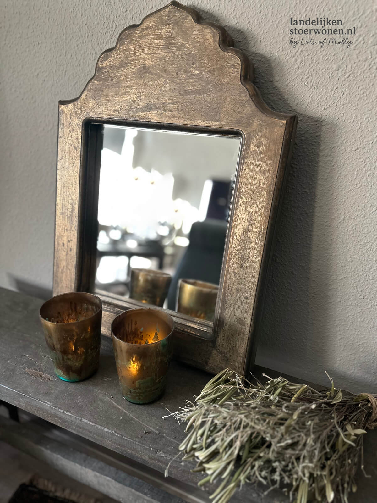 Spiegel Simba Hoffz 25