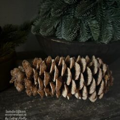 Geurende Dennenappel Amber