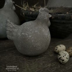 Betonnen Kip Niels S