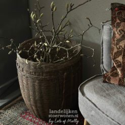 Bos Magnolia takken Groot