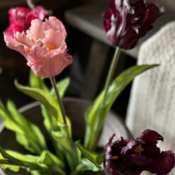 Kartel Tulpenbundel Mix 2