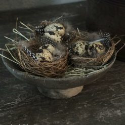 Nest met 2 kwarteleieren