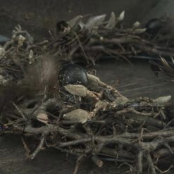 Bonsai Krans eitjes en veertsjes magnolia 30