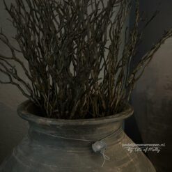 Kunst Bundel Myrica Bruin