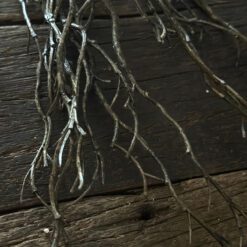 Kunst Bundel Myrica Bruin