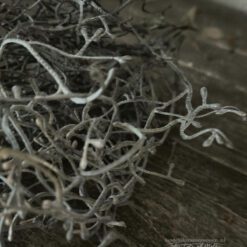 Kunstbosje Tillandsia