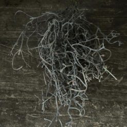 Kunstbosje Tillandsia