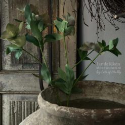 Kunsttak Helleborus 5 bloemen