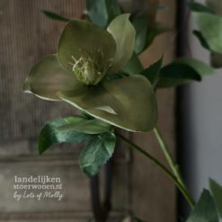 Kunsttak Helleborus 5 bloemen