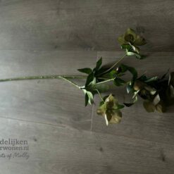Kunsttak Helleborus 5 bloemen