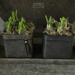 Set van 2 Stenen bloempotten