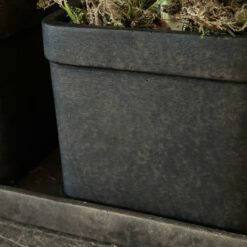 Set van 2 Stenen bloempotten