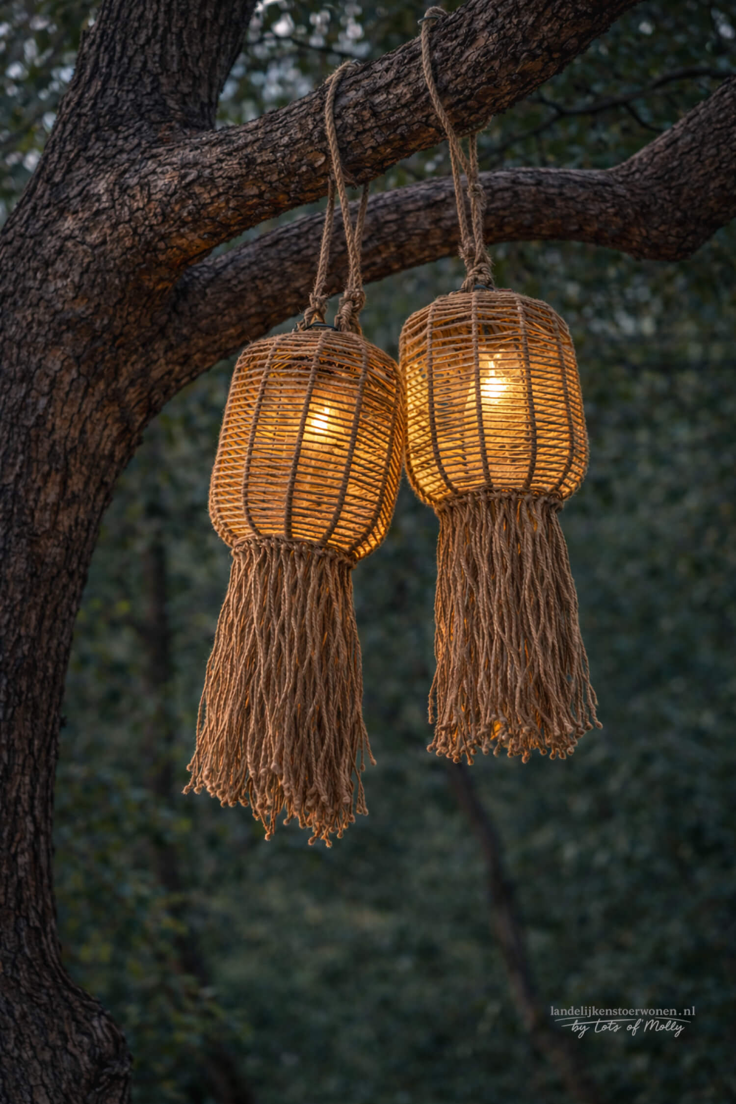 Solar LED touwlamp Korf