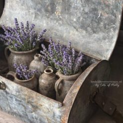 Oude Koffer Frankrijk