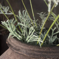 Kunsttak Fluitenkruid