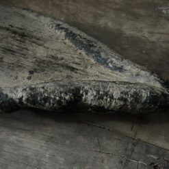 Oude bajot langwerpig Hoffz