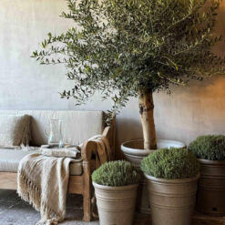 Outdoor potten Aura Peeperkorn